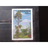 Руанда 1995 Дерево* Михель-3,0 евро