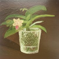 Орхидея. Картина маслом на картоне, 20*19,8 см, 2023 год