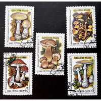 СССР 1986 г. Грибы. Флора, полная серия из 5 марок #0058-Ф2P10