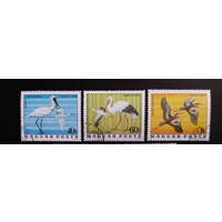 Венгрия, 1977, фауна, перелетные птицы, гаш