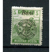 Трансильвания (Румыния) - 1919 - Надпечатка на марках Венгрии 5 Bani - [Mi.65] - 1 марка. MH.  (LOT H15)