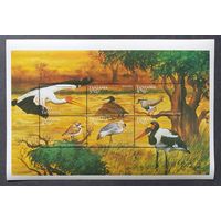 Фауна. Птицы 1МЛ Танзания 1999 MNH** Mi 3375-3380 8.5e кат