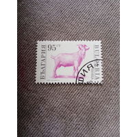 Болгария 1992. Домашний скот. Коза