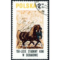 50-летие конного завода в Серакуве Польша 1980 год 1 марка