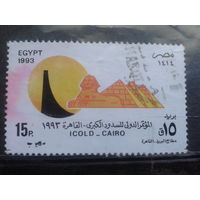 Египет, 1993, Международный конгресс строителей гидросистем