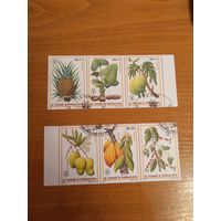 Сан-Томи и Принципи флора фрукты (5-2)