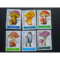 Болгария 1987 грибы полная серия
