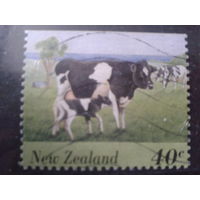 Новая Зеландия 1995  Коровы