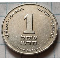 Израиль 1 новый шекель, 1994      ( 2-4-7 )