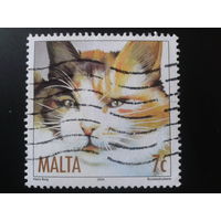 Мальта 2004 кошка