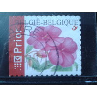 Бельгия 2004 Стандарт, цветы, марка из буклета