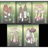 Грибы  Беларусь 1998 год (291-295) серия из 5 марок