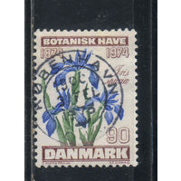 Дания 1974 100 летие Ботанического сада Копенгагена Голубой ирис #575
