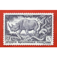 Африка. Носорог. ( 1 марка ).