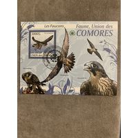 Коморские острова 2009. Хищные птицы. Малый лист