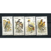 Транскей (Южная Африка) - 1980 - Птицы - [Mi. 75-78] - полная серия - 4 марки. Гашеные и MNH.  (Лот 21DW)-T2P3