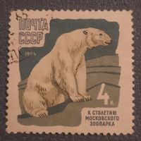 СССР 1964. Белый медведь. Марка из серии