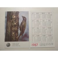 Карманный календарик. Птица Седой Дятел. 1987 год