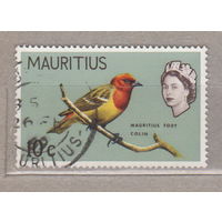 Птицы и королева Елизавета II - Маврикий 1965 год  лот 16