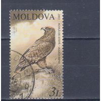 [2178] Молдова 2003. Фауна.Птицы.Степной орел. Гашеная марка.