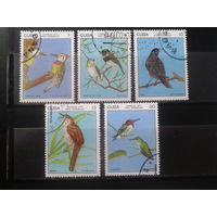 Куба 1977 Птицы