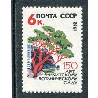 СССР 1962. Никитинский ботанический сад. Канна
