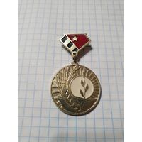 Значок-медаль ,,30-годзе вызвалення Быхаўскага раёна ад нямецка-фашысцкіх захопнікаў 1944-1974''.