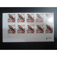 США 1999 стандарт, птица, блок из 10 марок