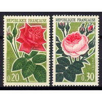1962 Франция. Розы