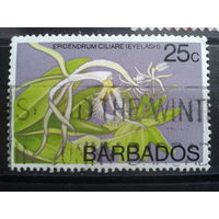 Барбадос 1974 Орхидея