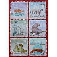 Польша. Животный мир Антарктиды ( 6 марок ) 1987 года.