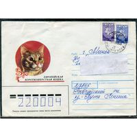 Беларусь. Конверт п.п. Европейская короткошерстная кошка. Штемпель аг Химы 1993