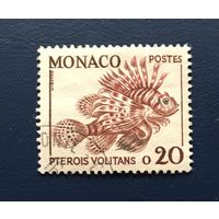 Монако 1960 год Фауна Рыбы(1960) Mi:652 Гашеная
