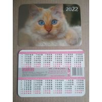 Карманный календарик . Котики. 2022 год