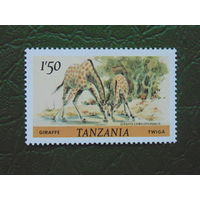 Танзания. Фауна.