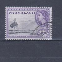 [1427] Британские колонии. Ньясаленд 1953. Елизавета II.Ландшафт. Гашеная марка.