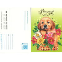 Маркированная почтовая карточка с литерой В "Виншую", 2005 , чистая