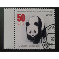 Россия 2011 Панда WWF Mi-1,7 евро гаш.