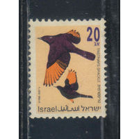 Израиль 1995 Певчие птицы Тристрам Стандарт #1249