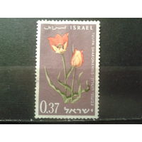 Израиль 1963 Цветы