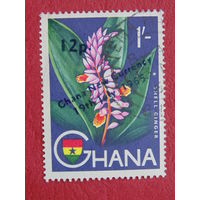 Гана 1965 г. Цветы. Надпечатка.
