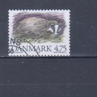 [899] Дания 1994. Фауна.Барсук. Гашеная марка.