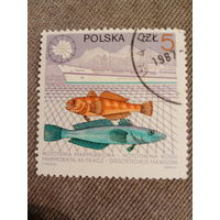 Польша 1987. Промысловые рыбы