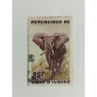 Кот-д'Ивуар 1959. Слон