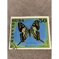 Куба 1972. Бабочки. Papilio celadon Lucas. Марка из серии