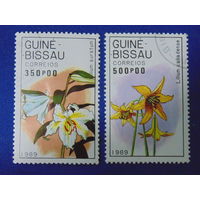 Гвинея-Бисау 1989 г. Цветы.
