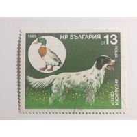 Болгария 1985. Охотничьи собаки