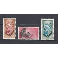 Фауна. Обезьяны. Гвинея. 1955. 3 марки. Michel N 320-322 (1,9 е)