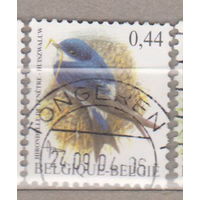 Птицы Бельгия 2004 год лот 1072