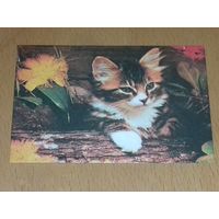 Календарик 1990 Латвия. Кошки. Коты